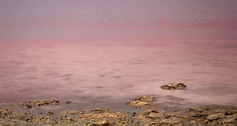 Laguna Rosa_Torrevieja