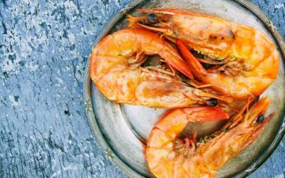 Gamba Roja de Dénia: The Red Gold of the Mediterranean