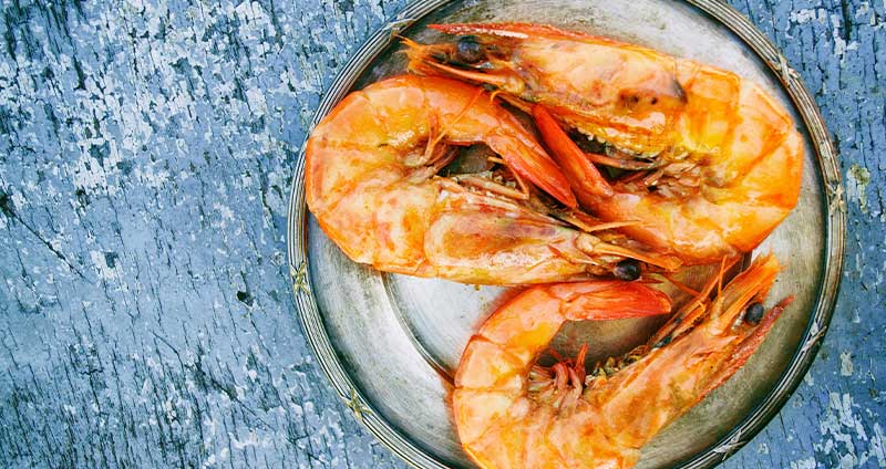 Gamba Roja de Dénia: The Red Gold of the Mediterranean